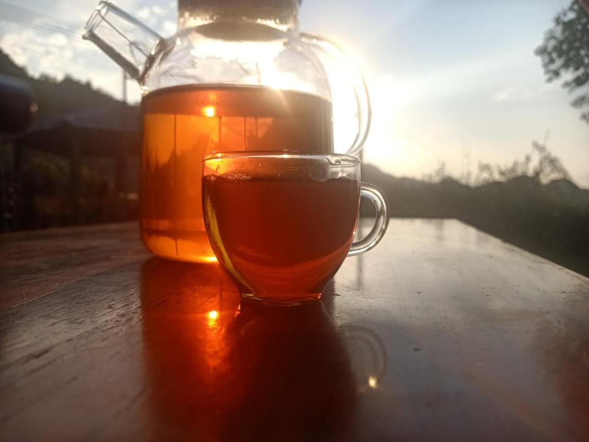 Long Co Tran - Homestay&Tea Ceremony Loung Co Buitenkant foto